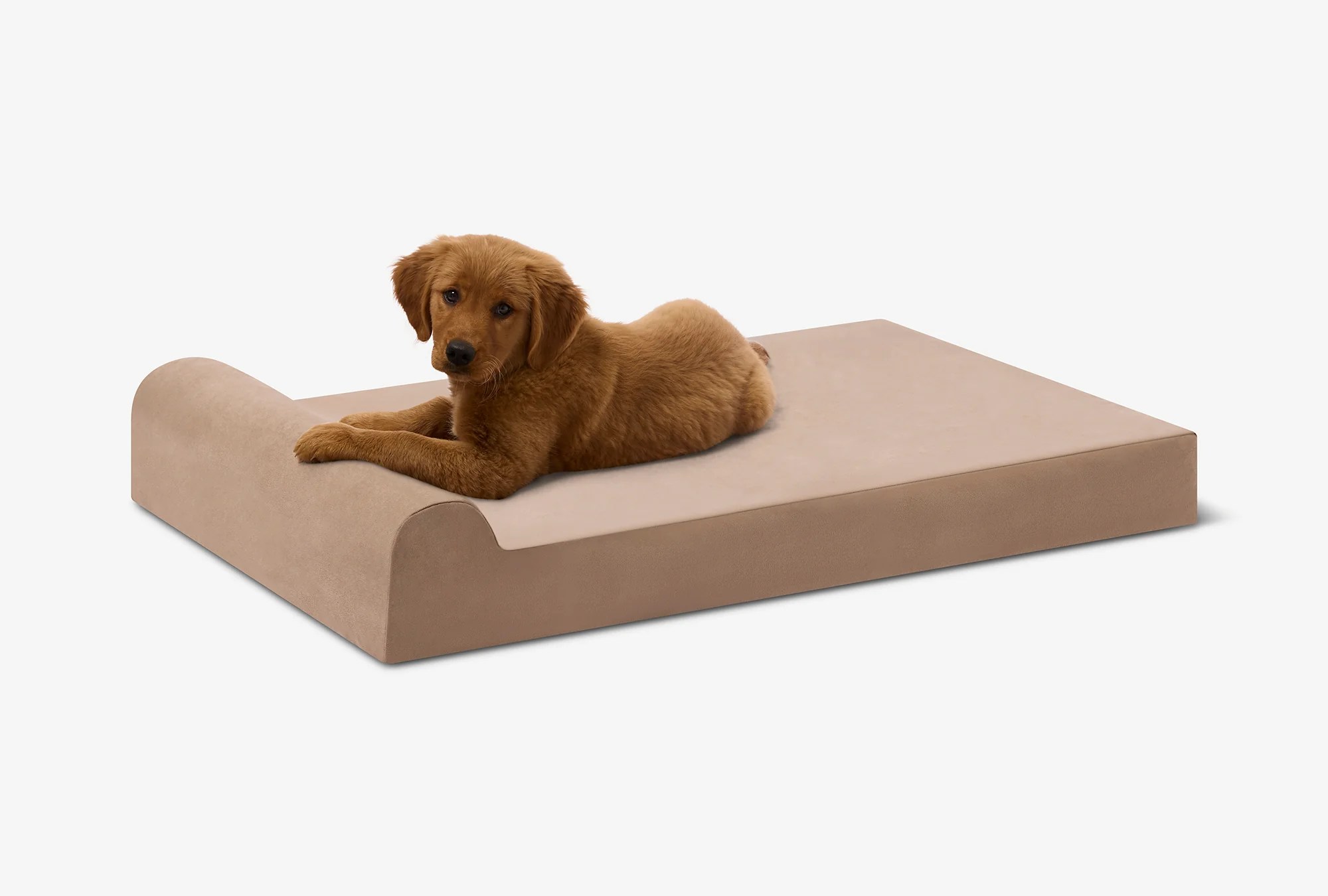 Puppy Bundle | Orthopedic Bed + Covers + Liner