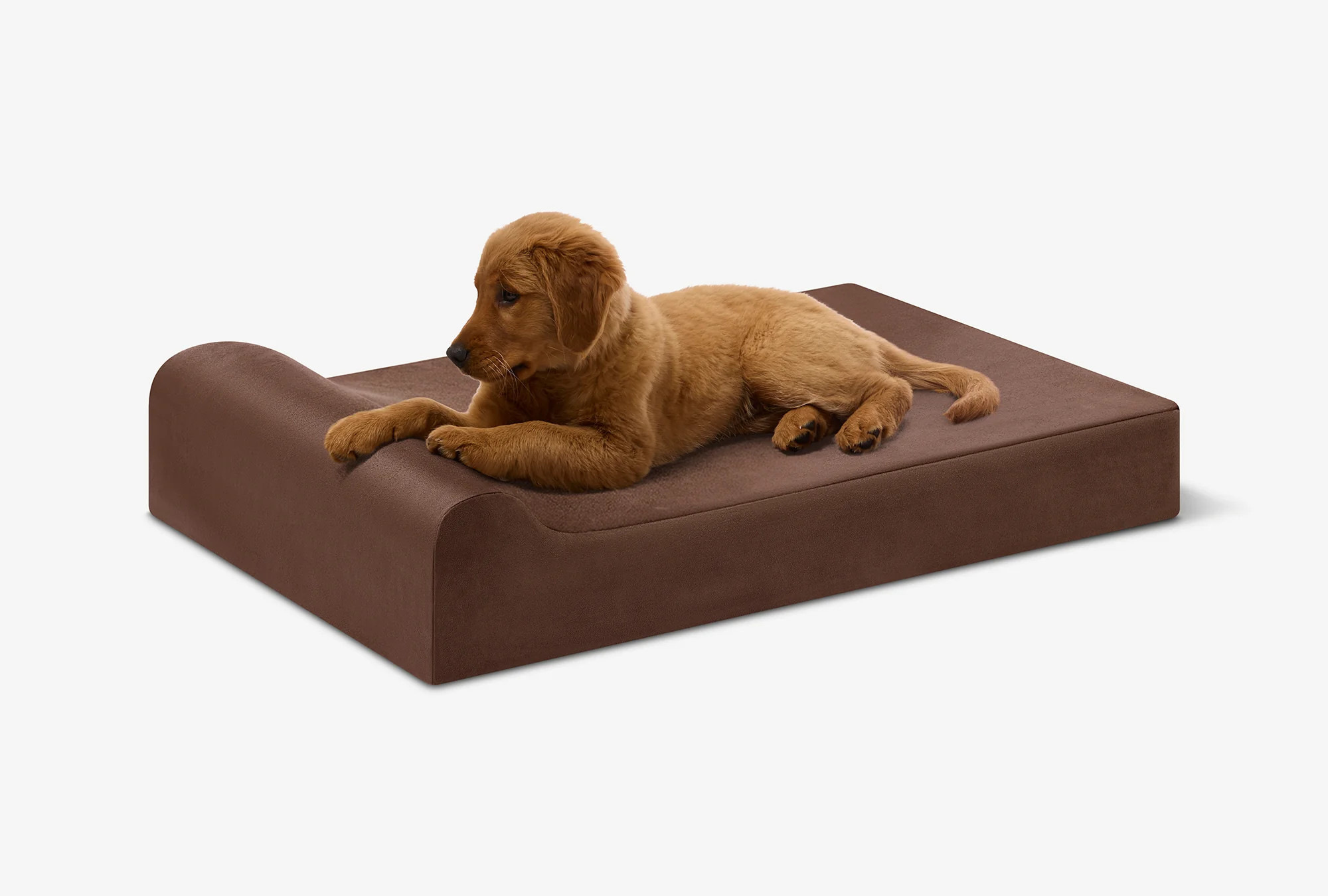 Puppy Bundle | Orthopedic Bed + Covers + Liner