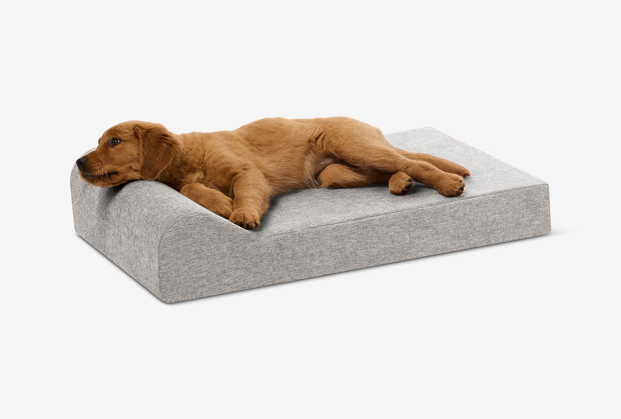 Puppy Bundle | Orthopedic Bed + Covers + Liner
