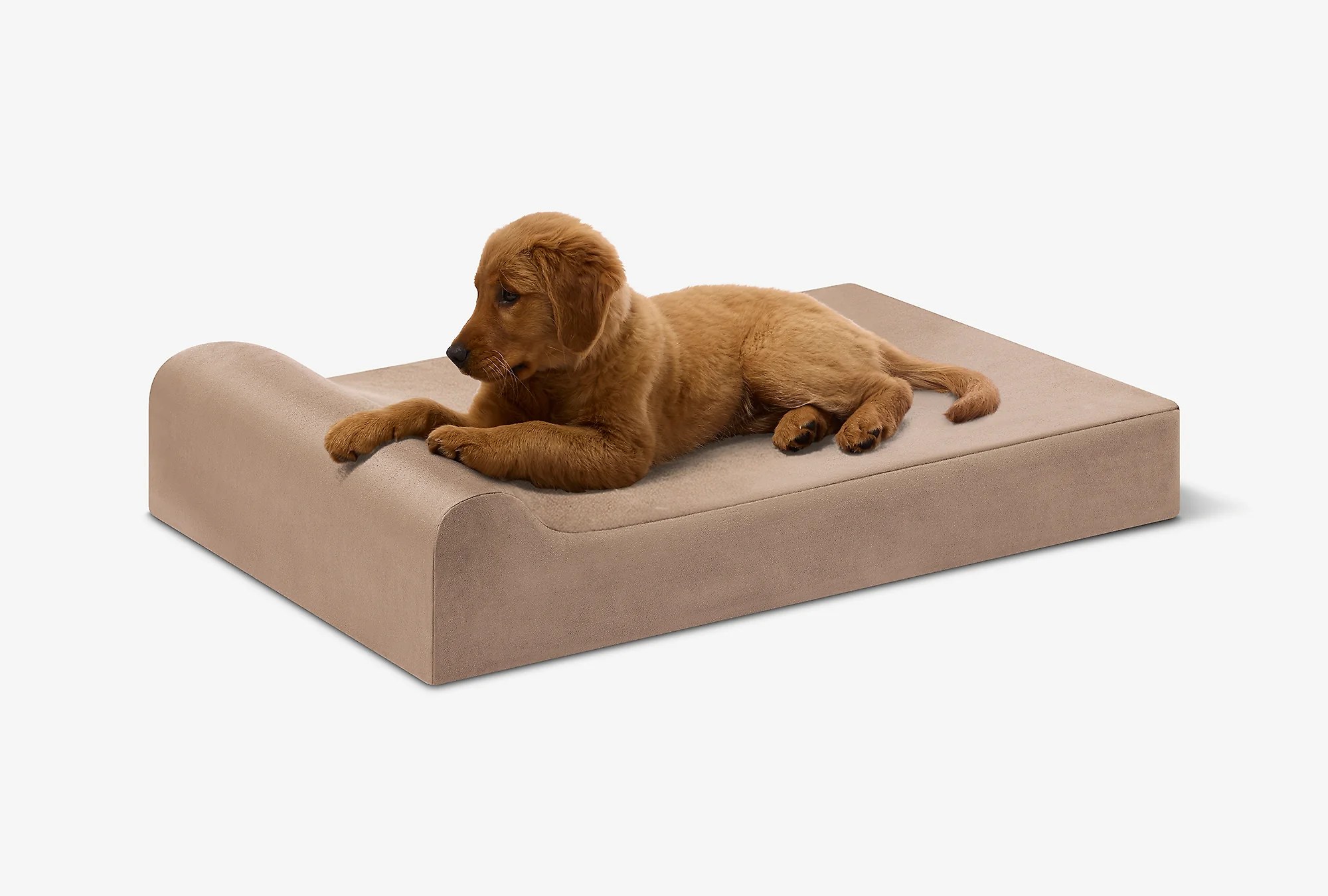 Puppy Bundle | Orthopedic Bed + Covers + Liner
