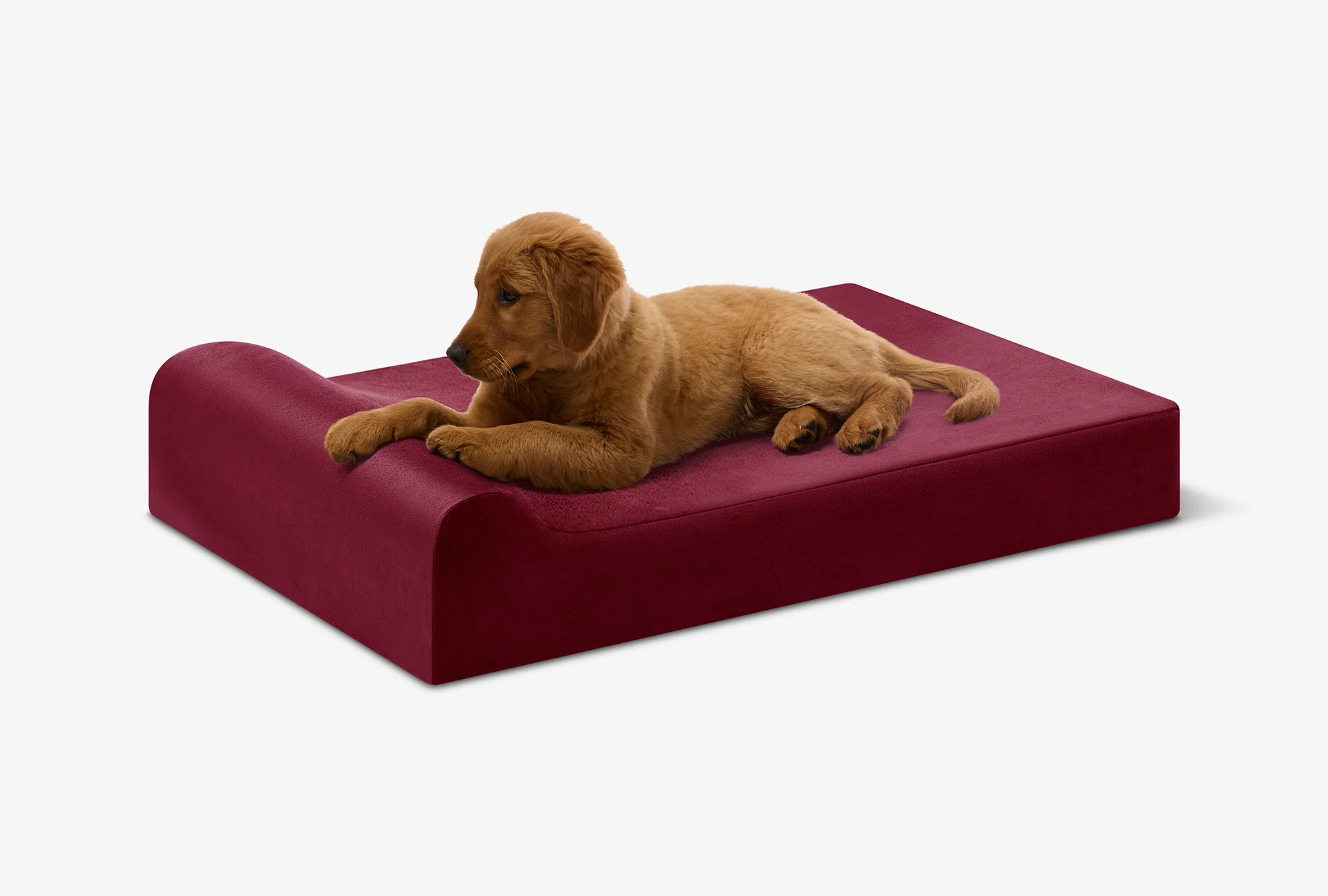 Puppy Bundle | Orthopedic Bed + Covers + Liner