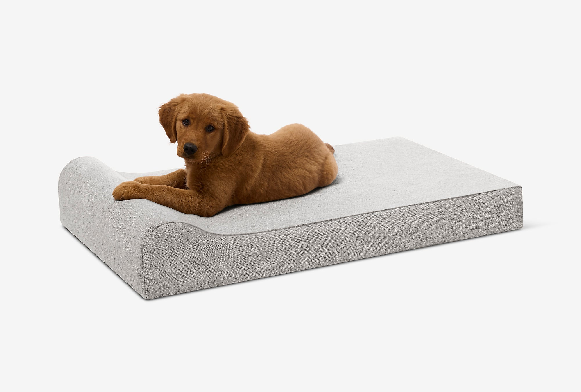 Puppy Bundle | Orthopedic Bed + Covers + Liner