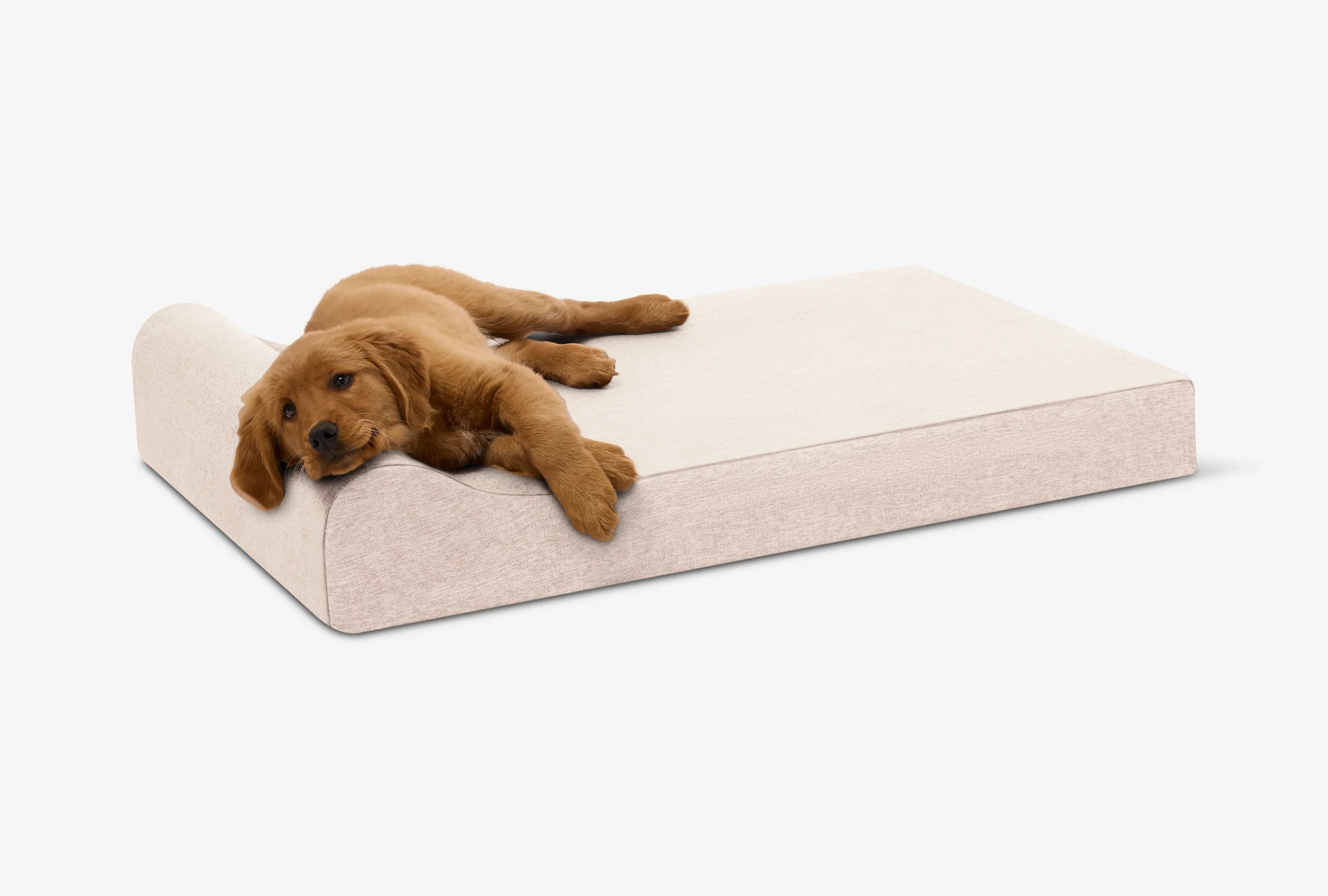 Puppy Bundle | Orthopedic Bed + Covers + Liner