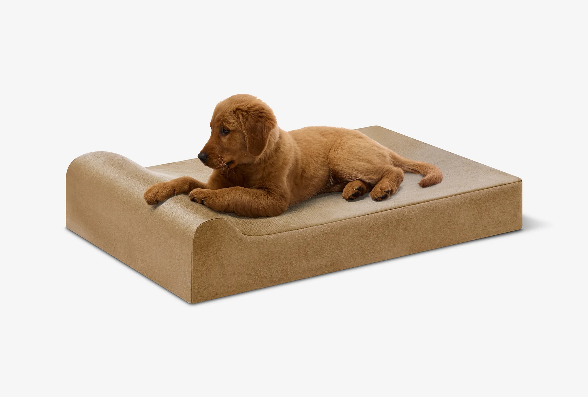 Puppy Bundle | Orthopedic Bed + Covers + Liner