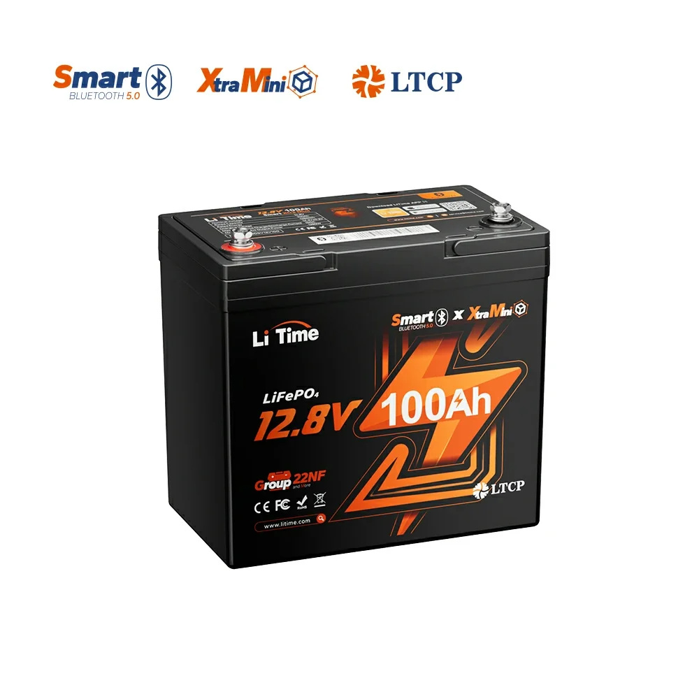 LiTime 12V 100Ah Xtra-Mini Bluetooth Small LiFePO4 Deep Cycle Battery for RV and Truck