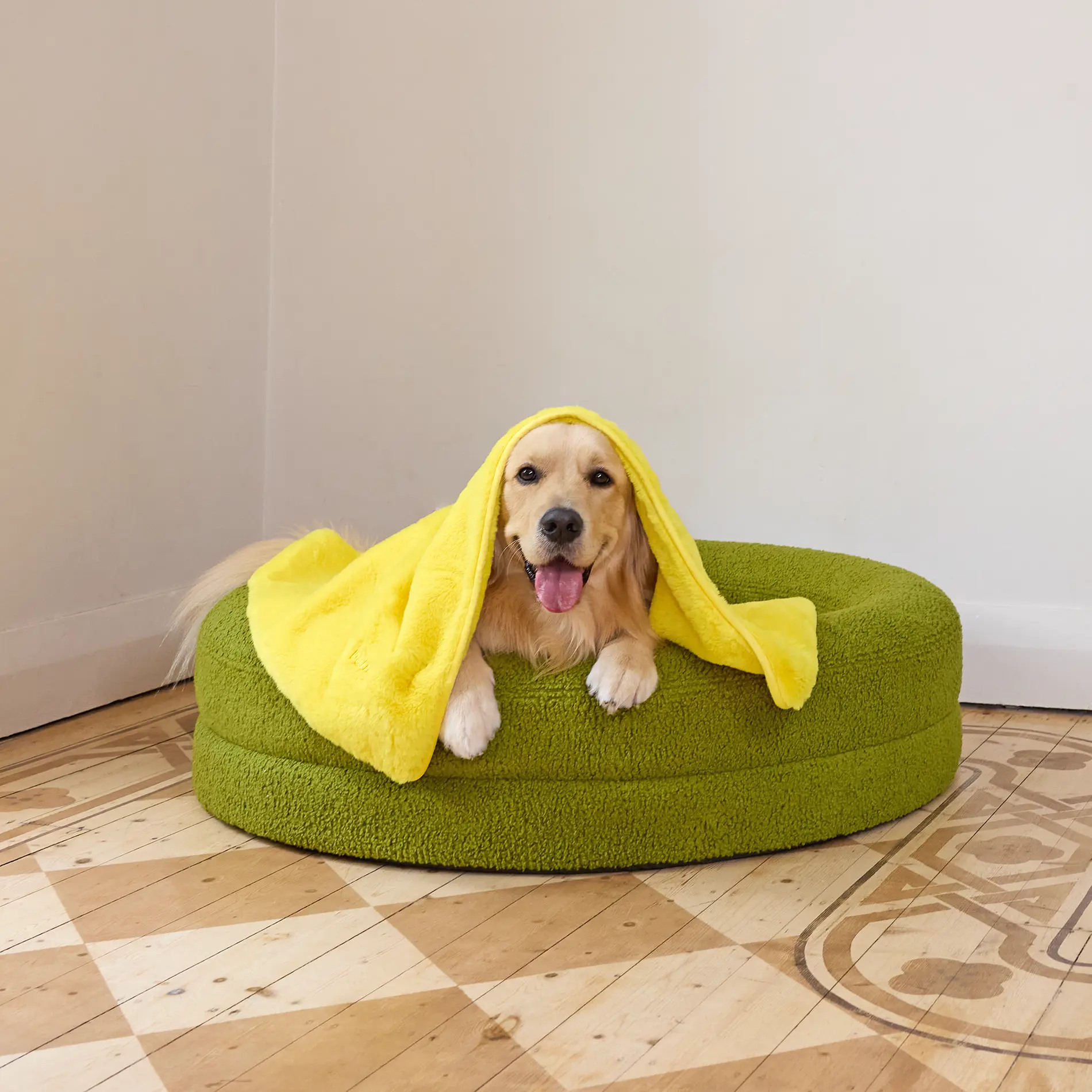 Blanket