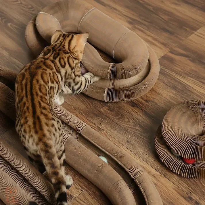 Cat Toy with Scratching Pad