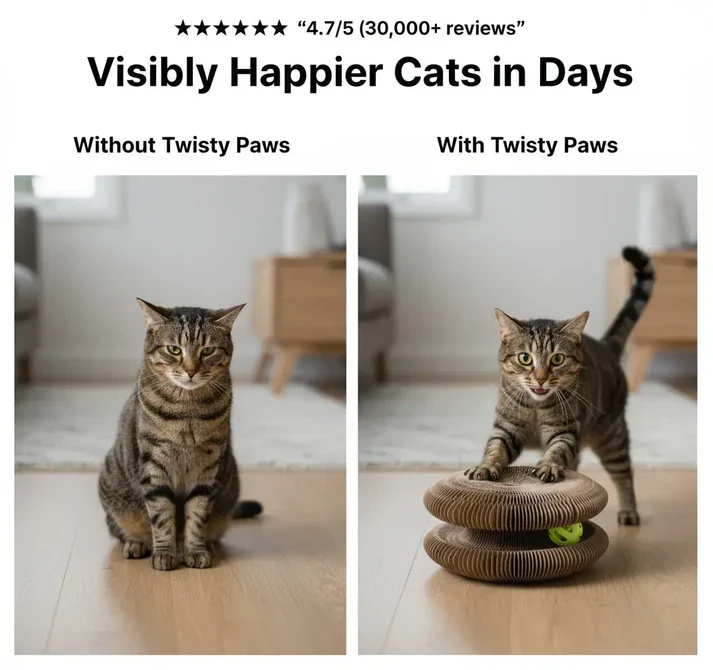 Cat Toy with Scratching Pad