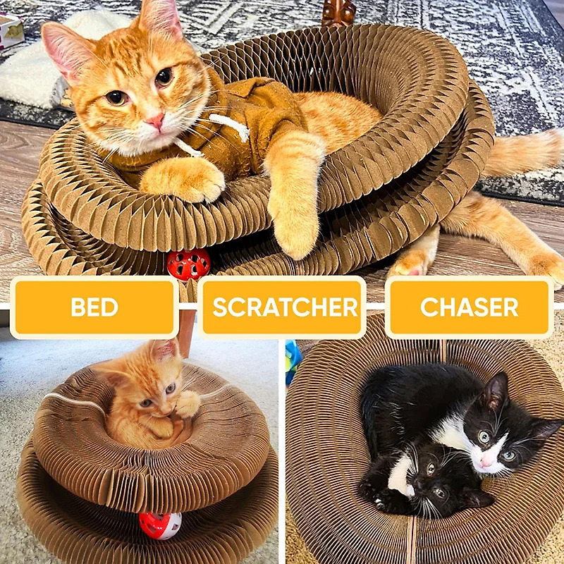 Cat Toy with Scratching Pad