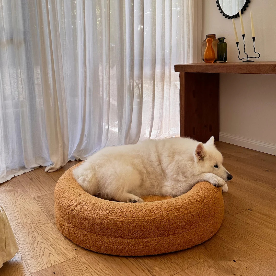 BarneyCurl Bed