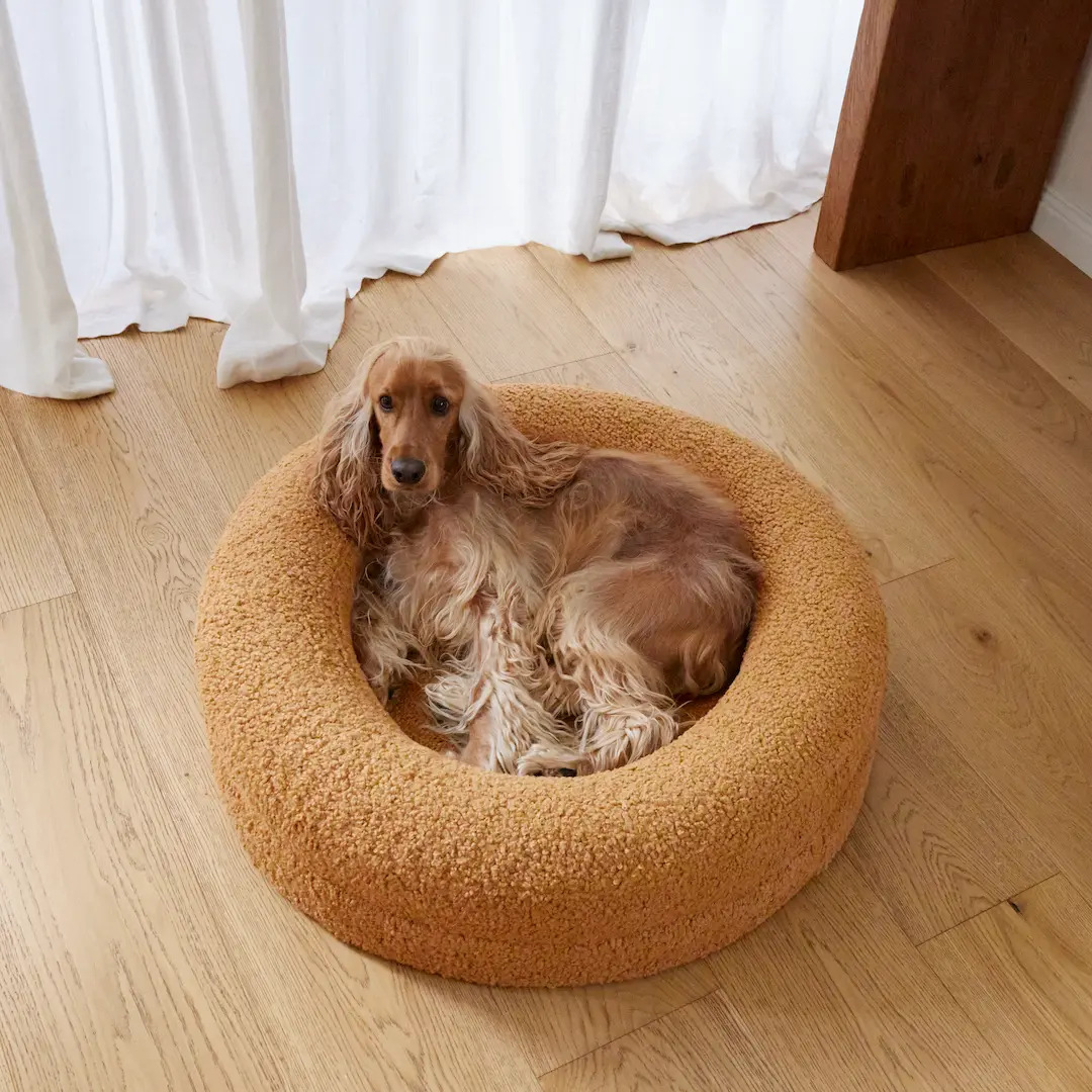 BarneyCurl Bed