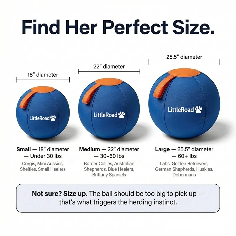 The Original Herding Ball for Dogs