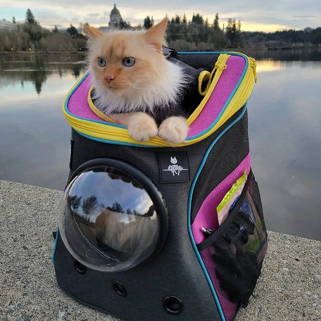 Stray x Travel Cat Backpack – Limited-Edition