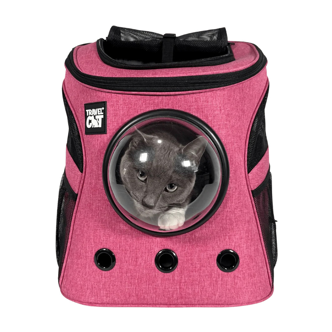 The Fat Cat Cat Backpack – For Larger Cats