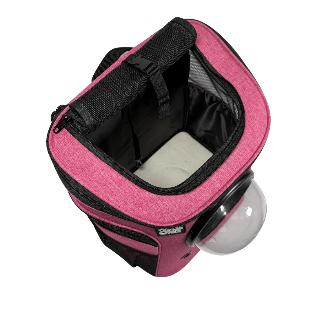 The Fat Cat Cat Backpack – For Larger Cats