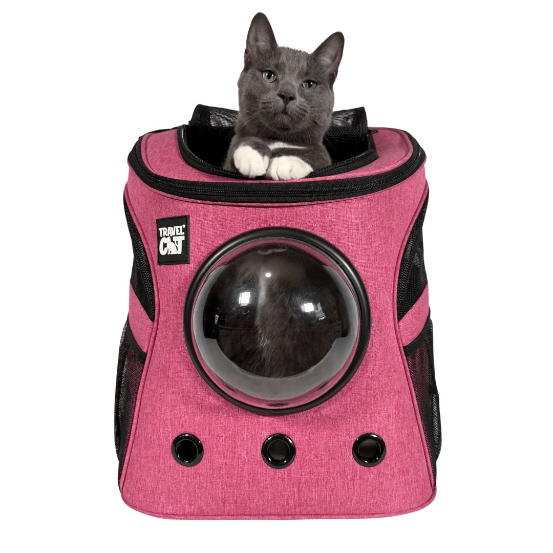 The Fat Cat Cat Backpack – For Larger Cats