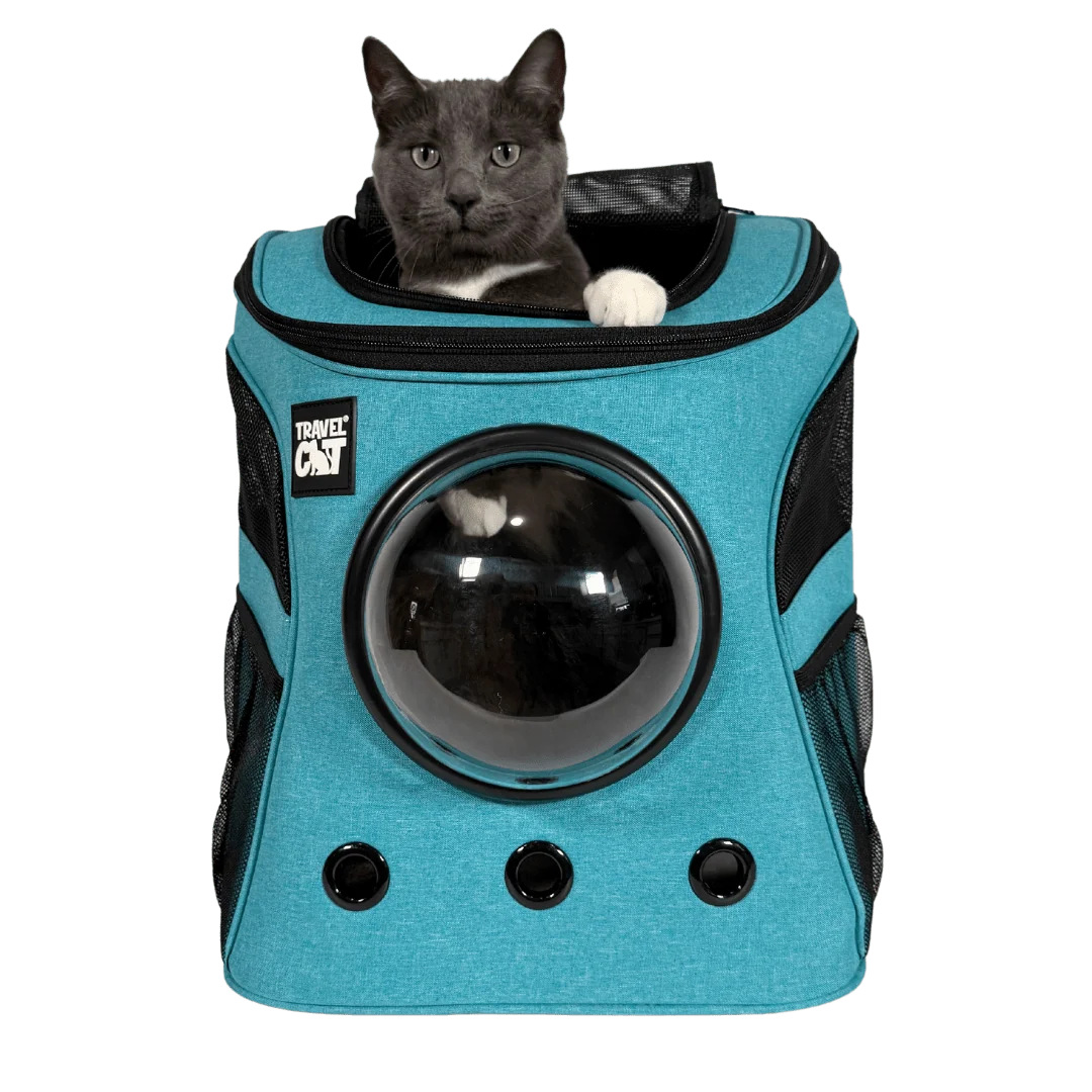 The Fat Cat Cat Backpack – For Larger Cats