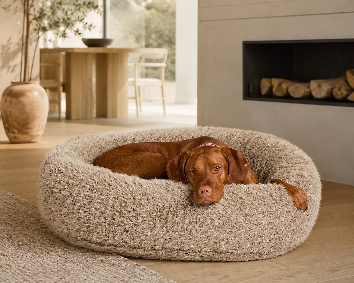 Donut Bed – Soft Textures