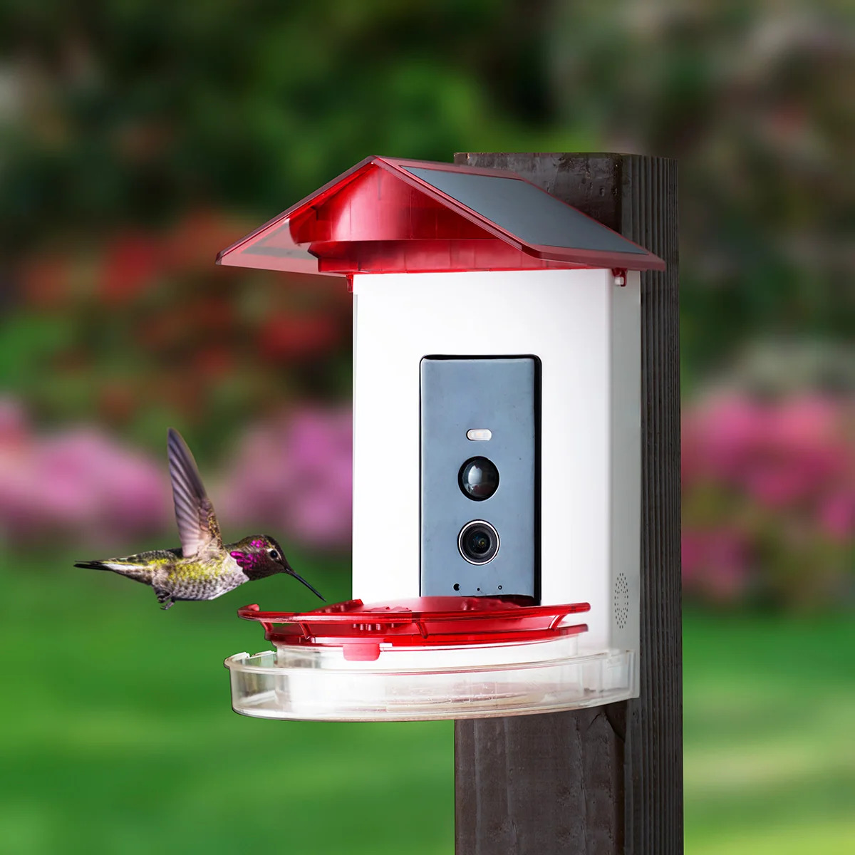 Video Camera Hummingbird Feeder by Sharper Image