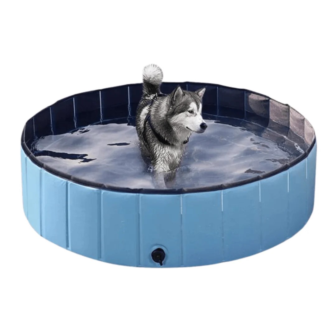Team K9® Foldable Dog Pool