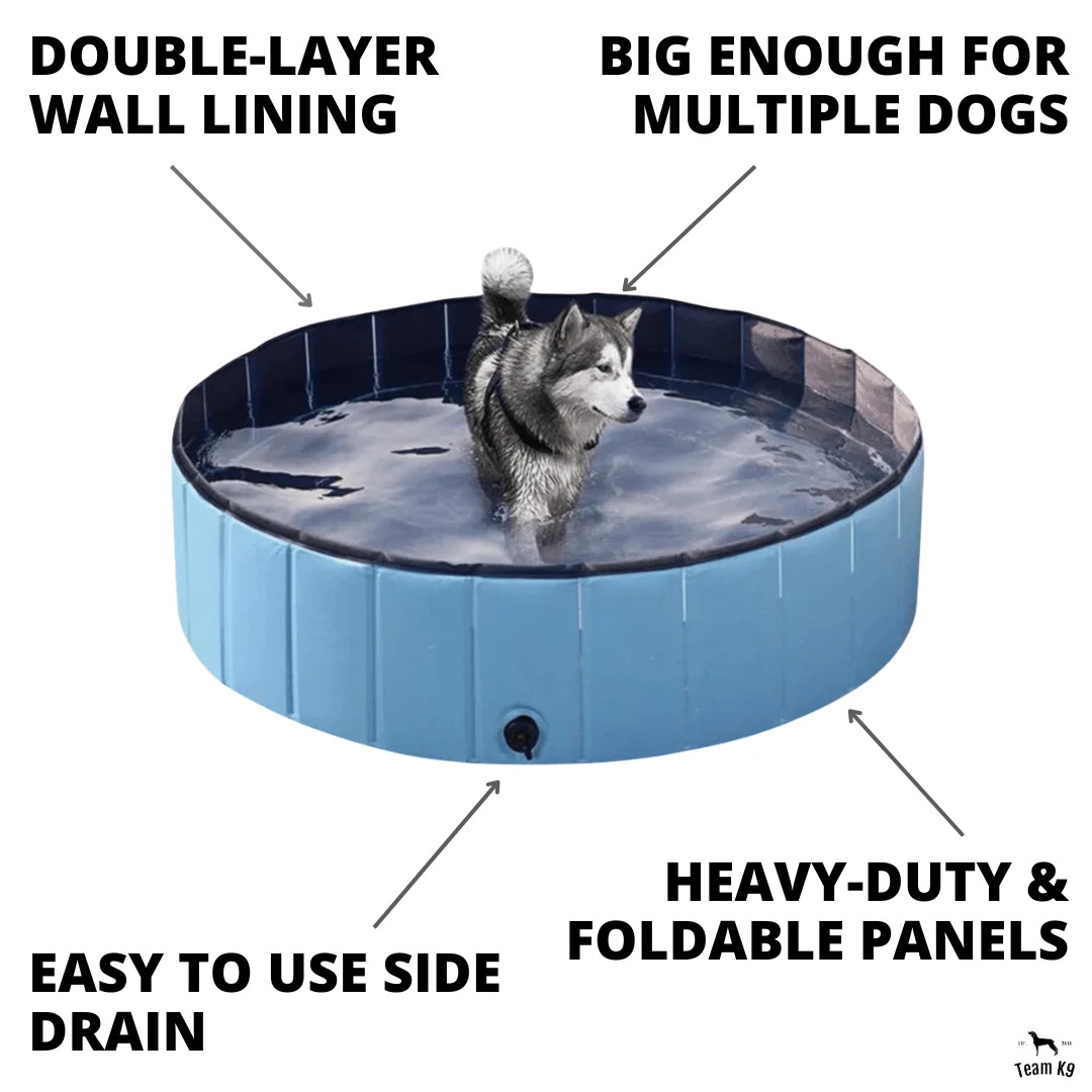 Team K9® Foldable Dog Pool