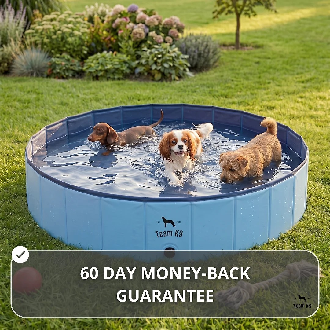 Team K9® Foldable Dog Pool