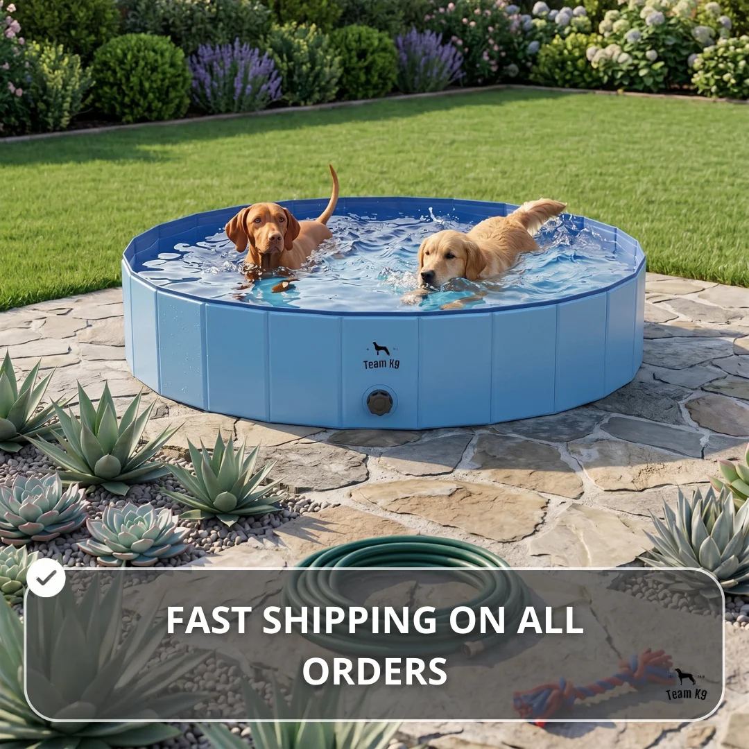 Team K9® Foldable Dog Pool