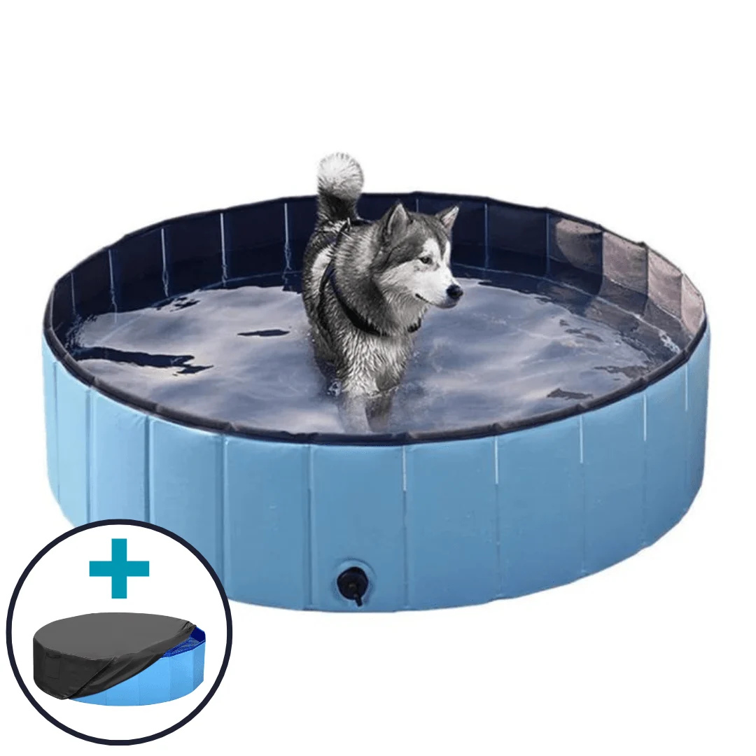 Team K9® Foldable Dog Pool