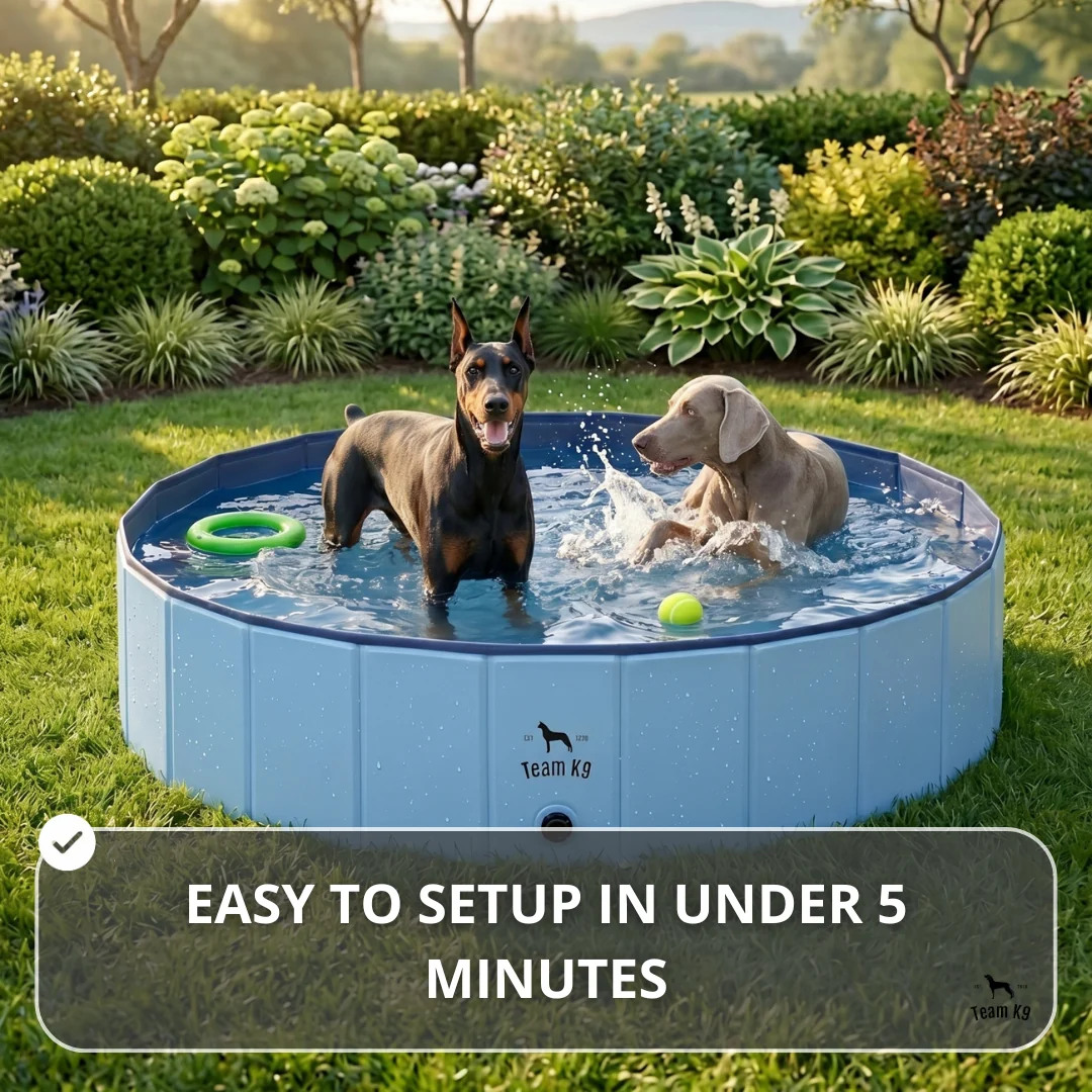 Team K9® Foldable Dog Pool