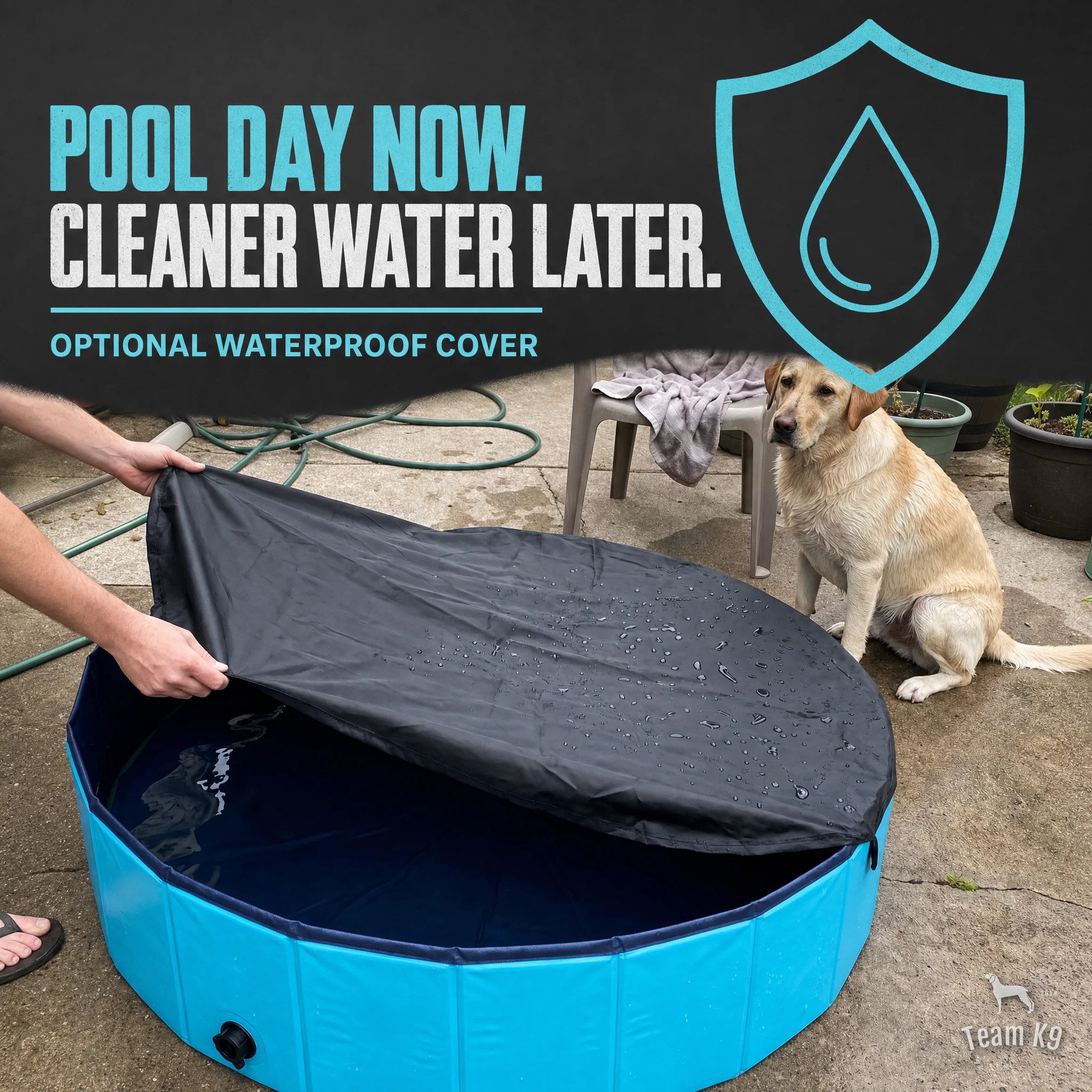 Team K9® Foldable Dog Pool