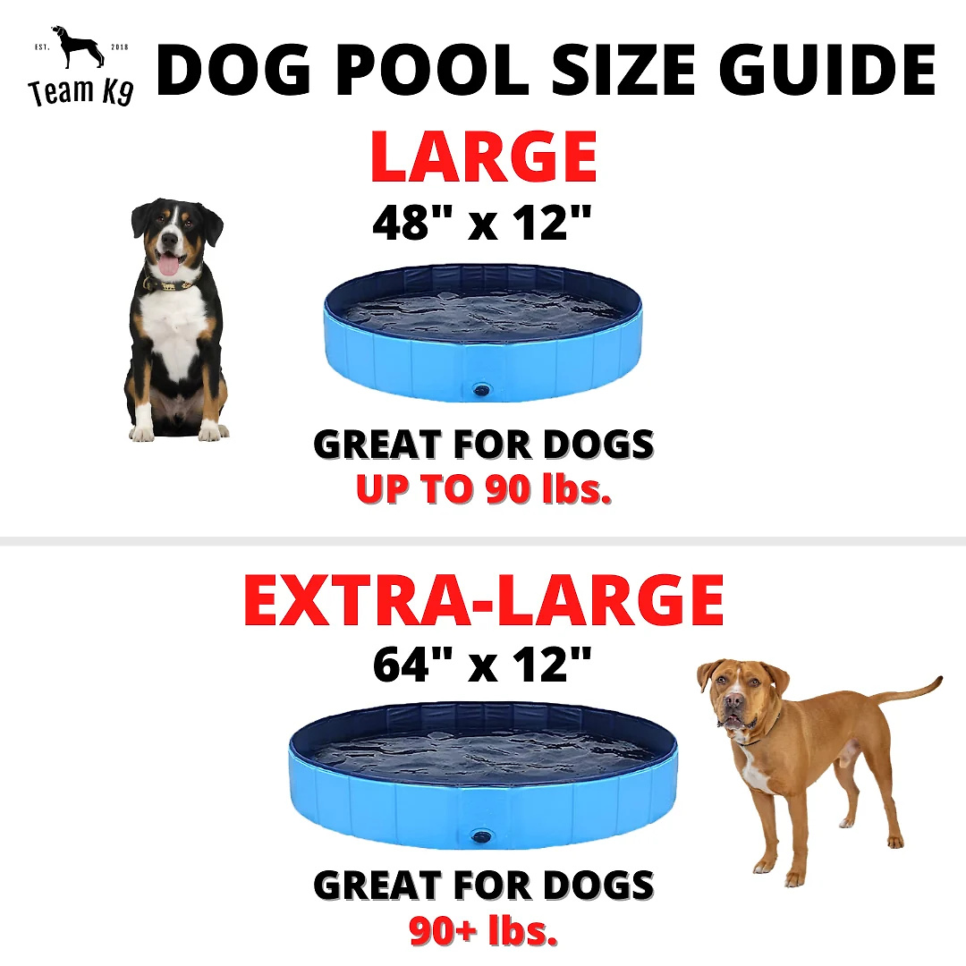 Team K9® Foldable Dog Pool