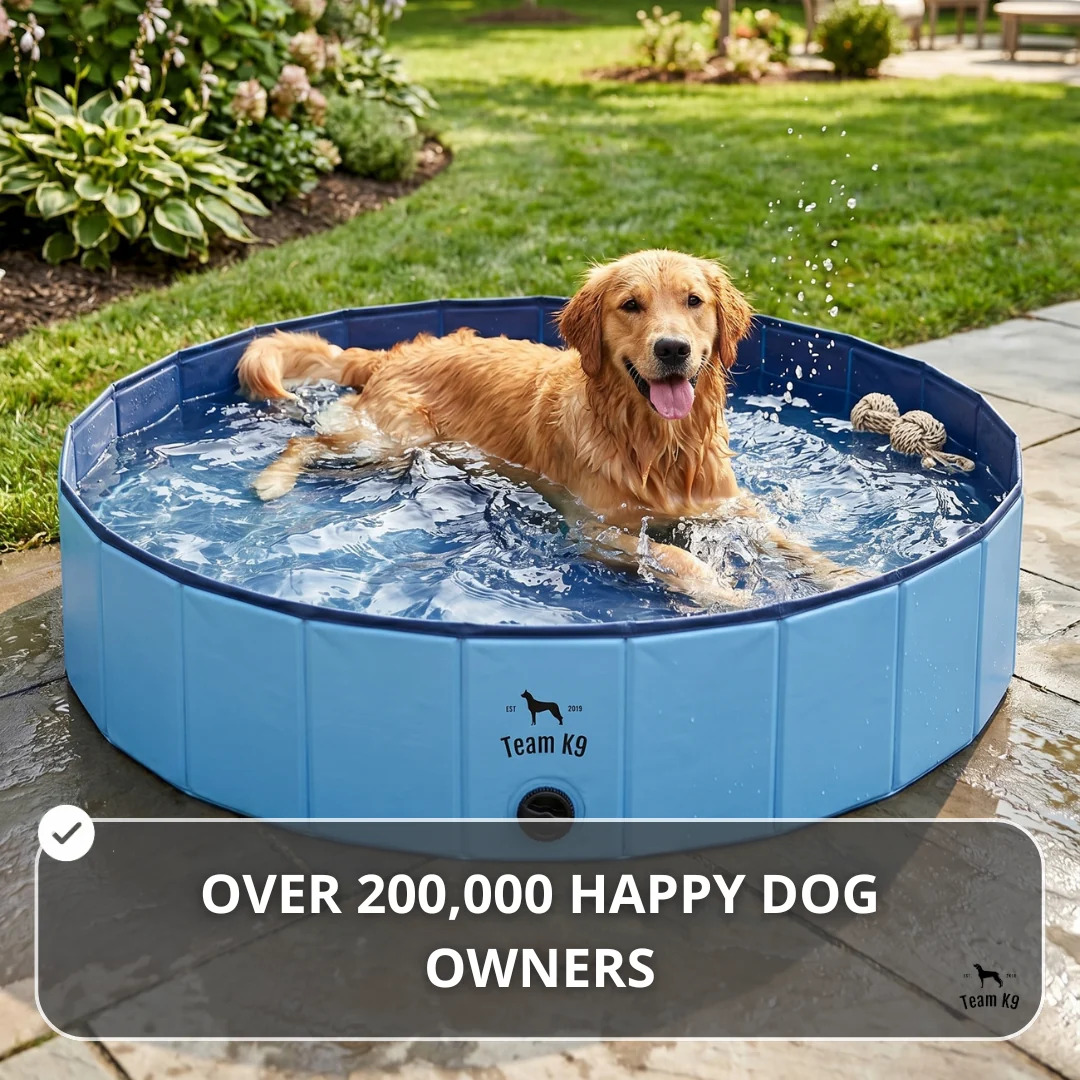 Team K9® Foldable Dog Pool