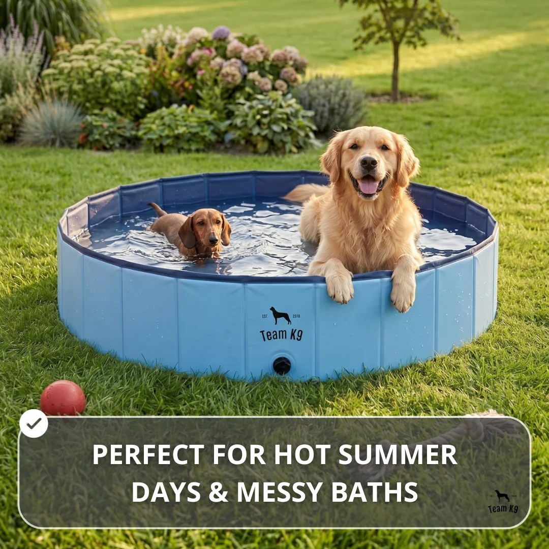 Team K9® Foldable Dog Pool