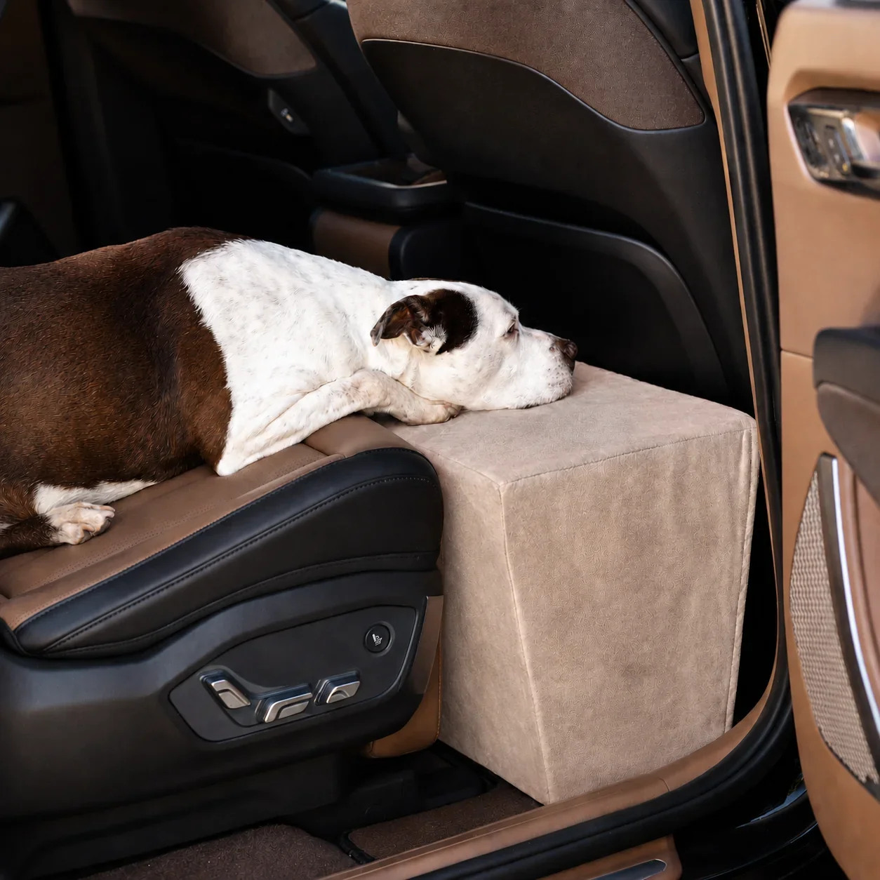 Companion Backseat Extender™ for Dogs