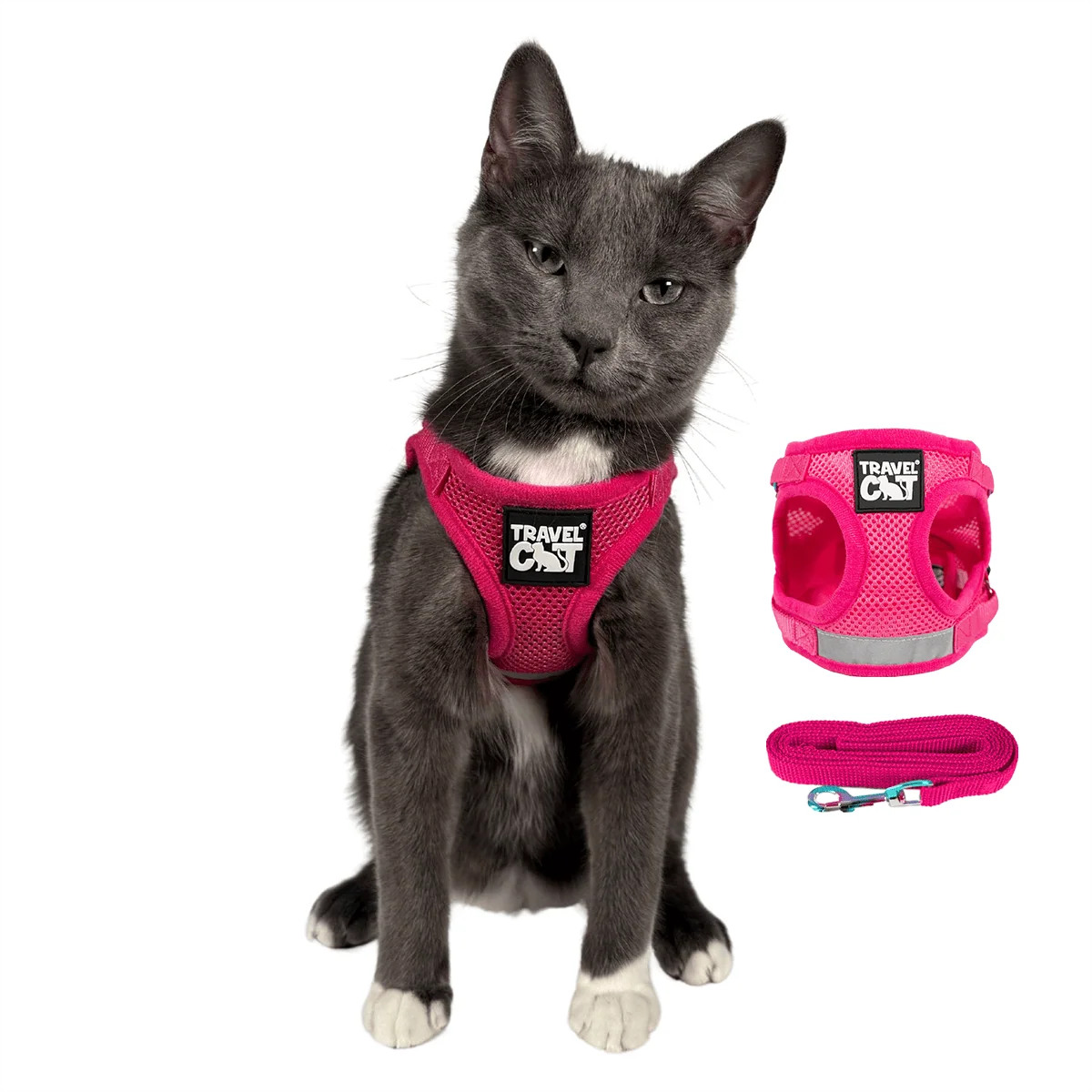 The True Adventurer Reflective Cat & Kitten Harness and Leash