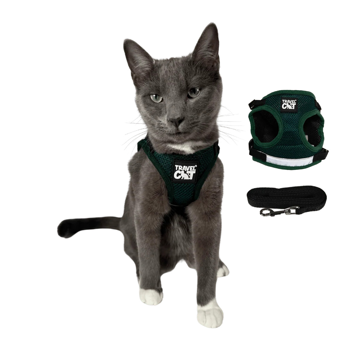 The True Adventurer Reflective Cat & Kitten Harness and Leash