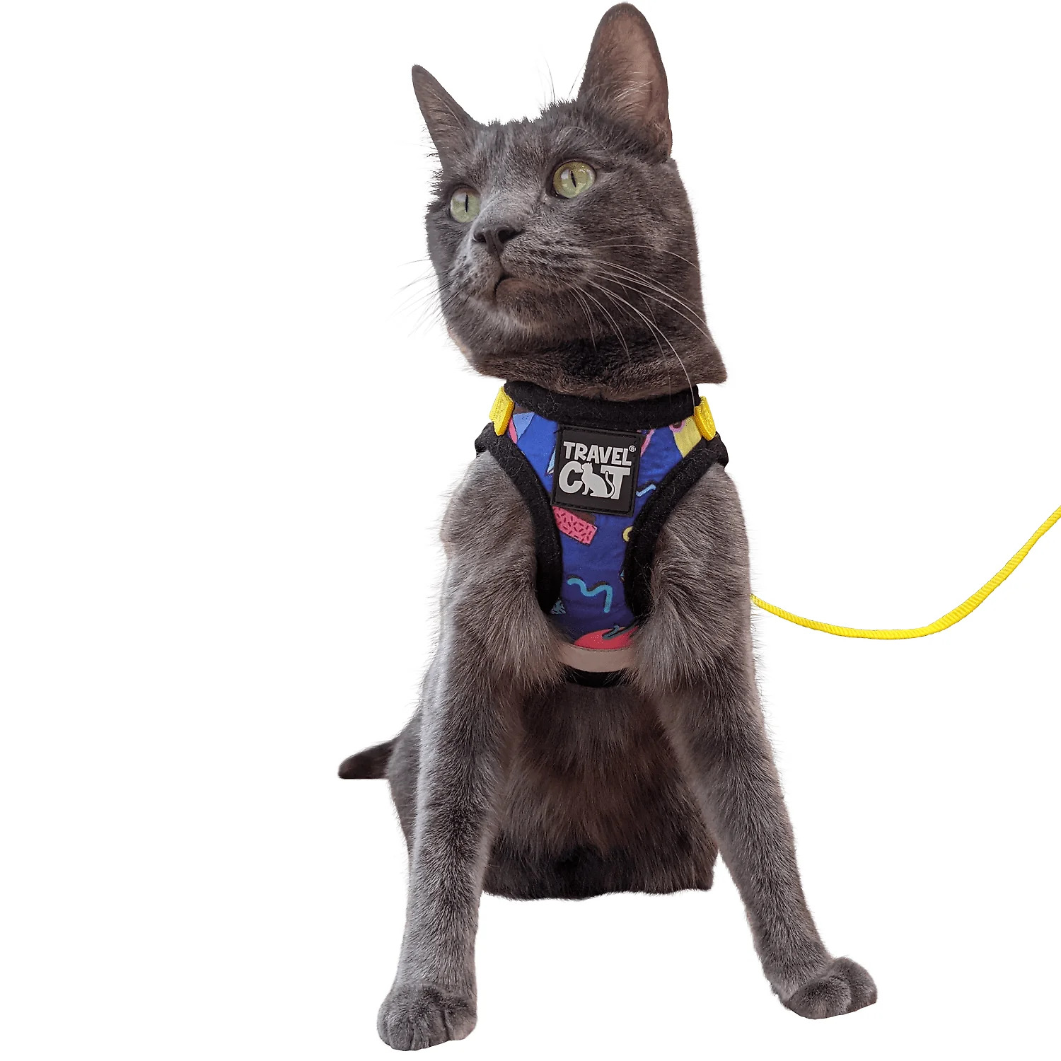The True Adventurer Reflective Cat & Kitten Harness and Leash