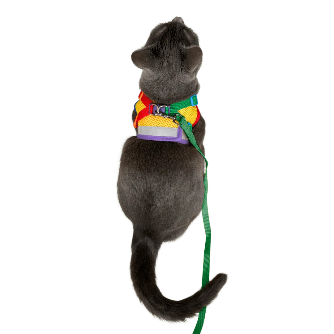 The True Adventurer Reflective Cat & Kitten Harness and Leash