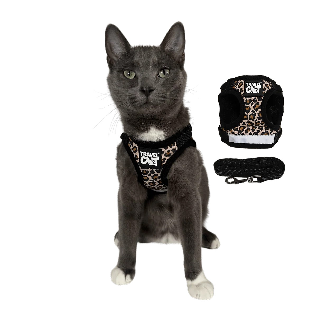 The True Adventurer Reflective Cat & Kitten Harness and Leash