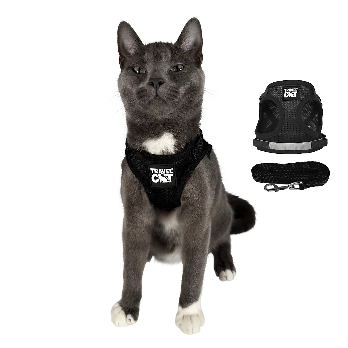 The True Adventurer Reflective Cat & Kitten Harness and Leash