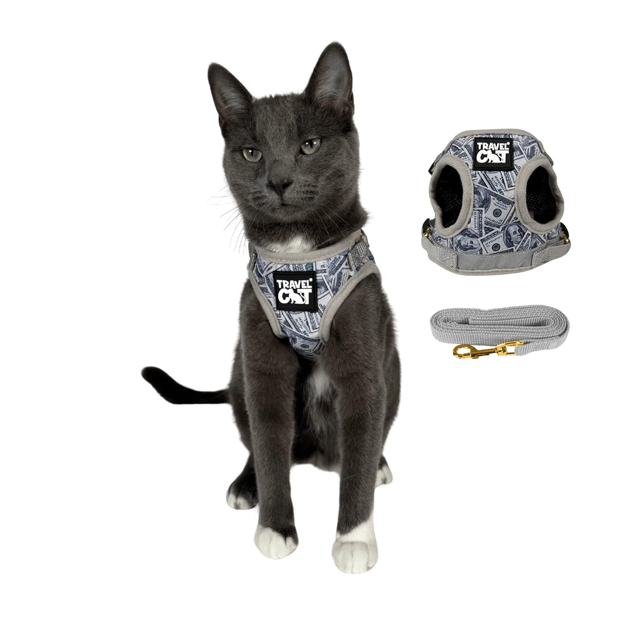 The True Adventurer Reflective Cat & Kitten Harness and Leash