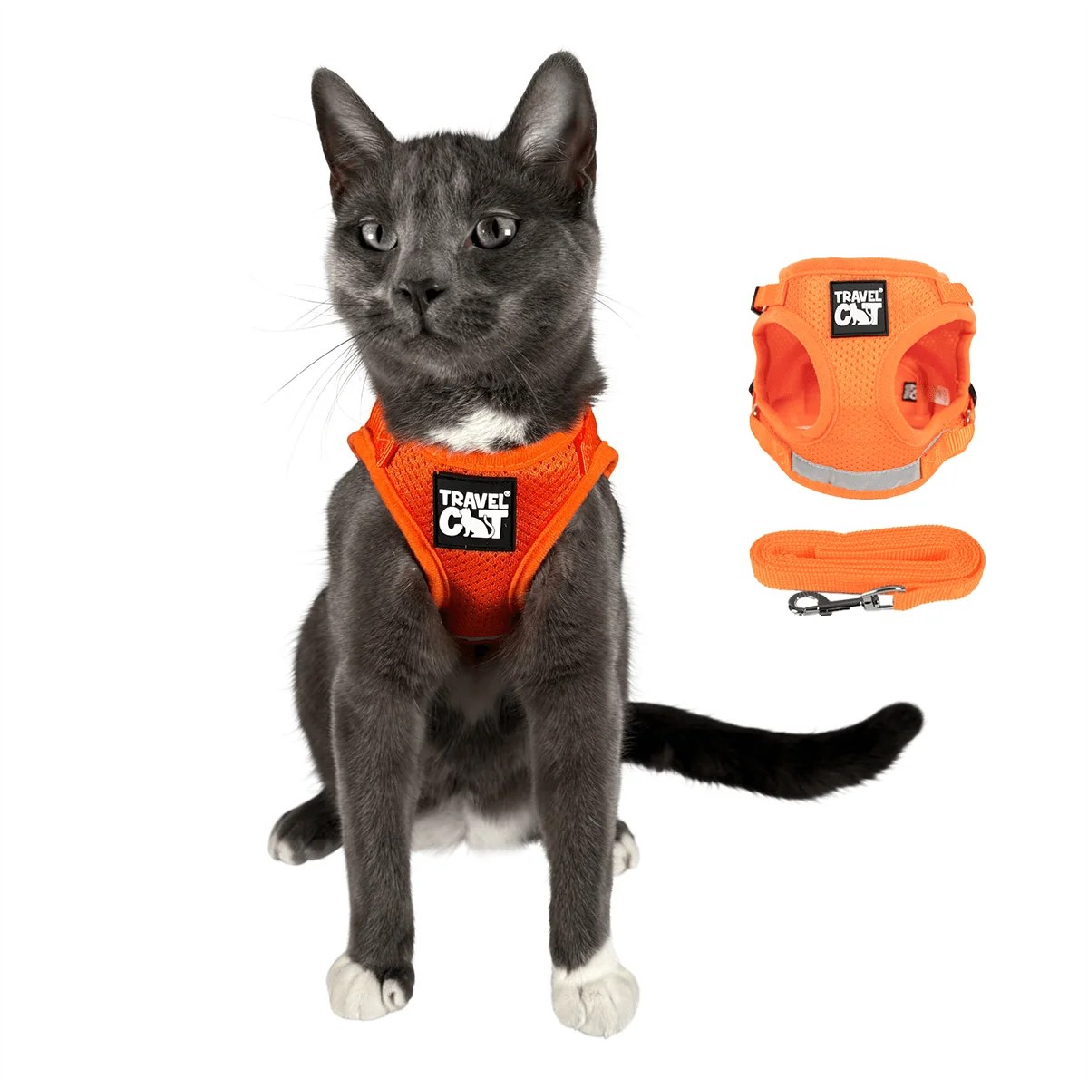 The True Adventurer Reflective Cat & Kitten Harness and Leash