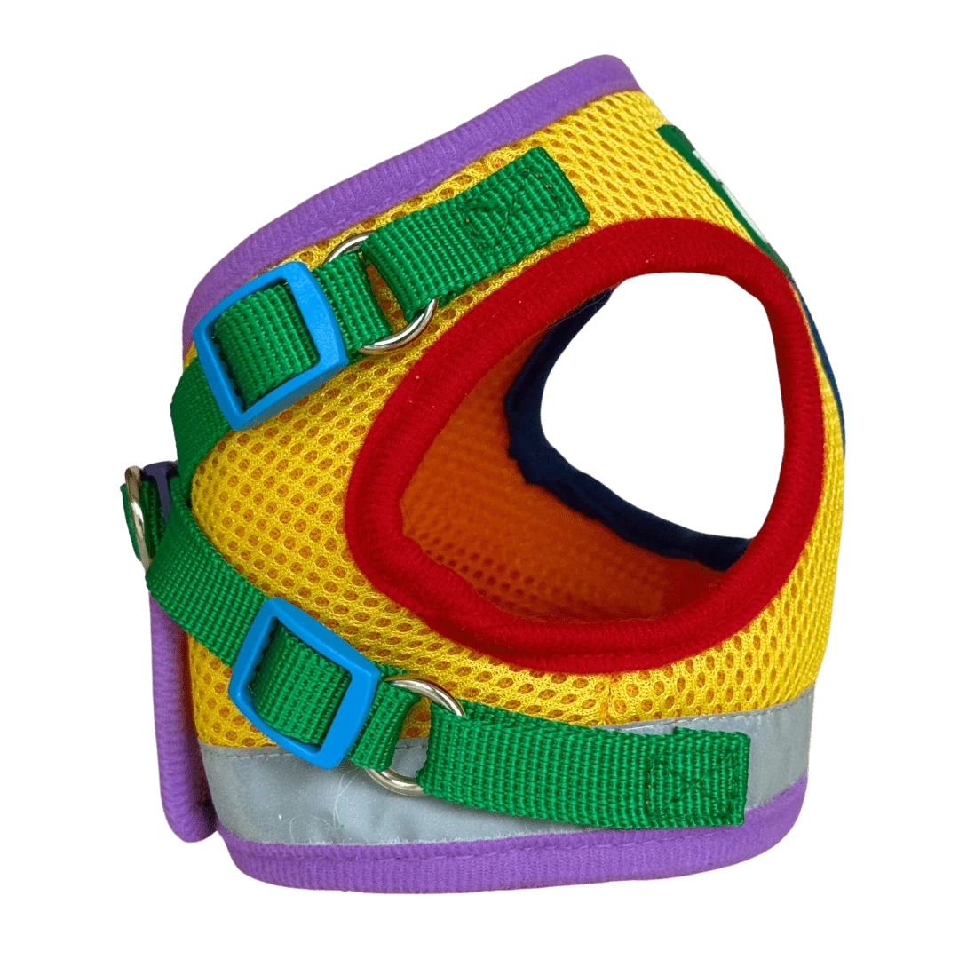 The True Adventurer Reflective Cat & Kitten Harness and Leash
