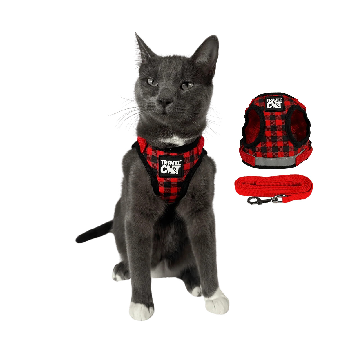 The True Adventurer Reflective Cat & Kitten Harness and Leash