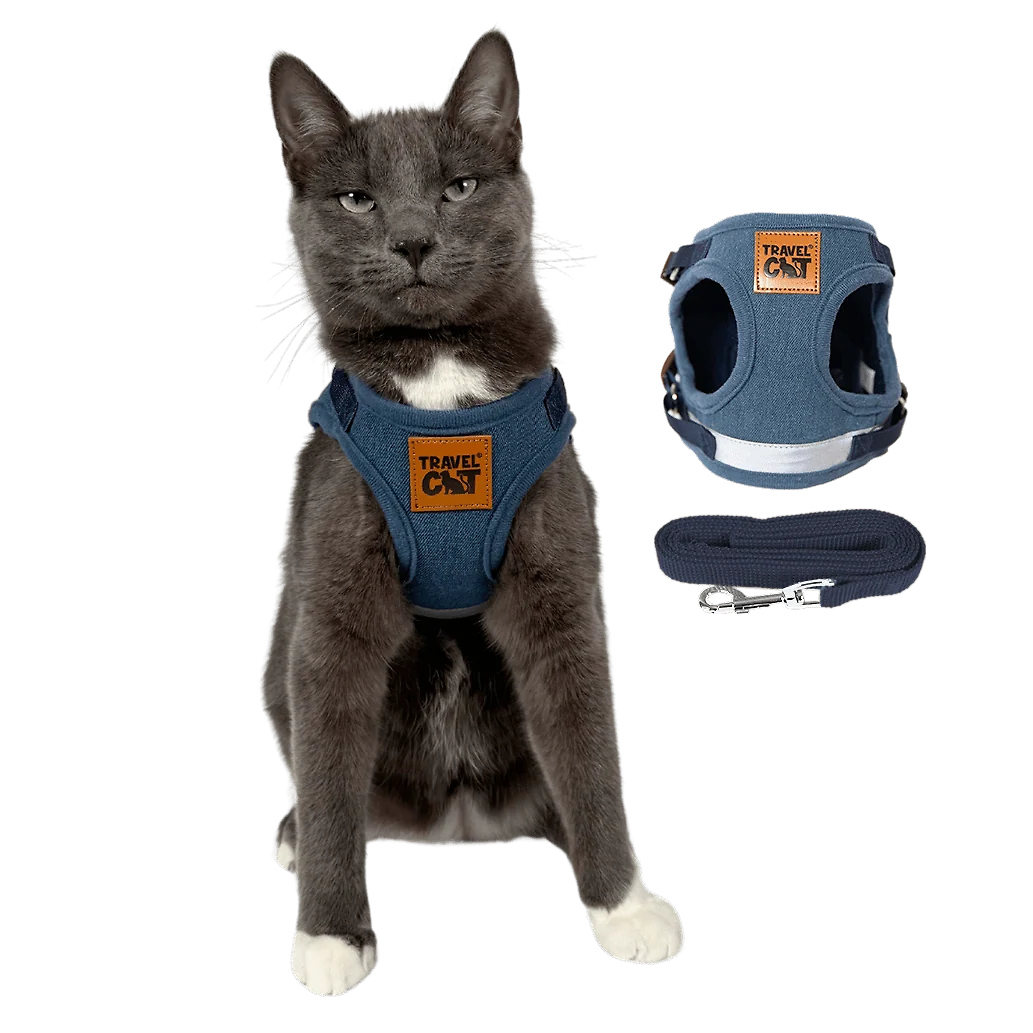 The True Adventurer Reflective Cat & Kitten Harness and Leash
