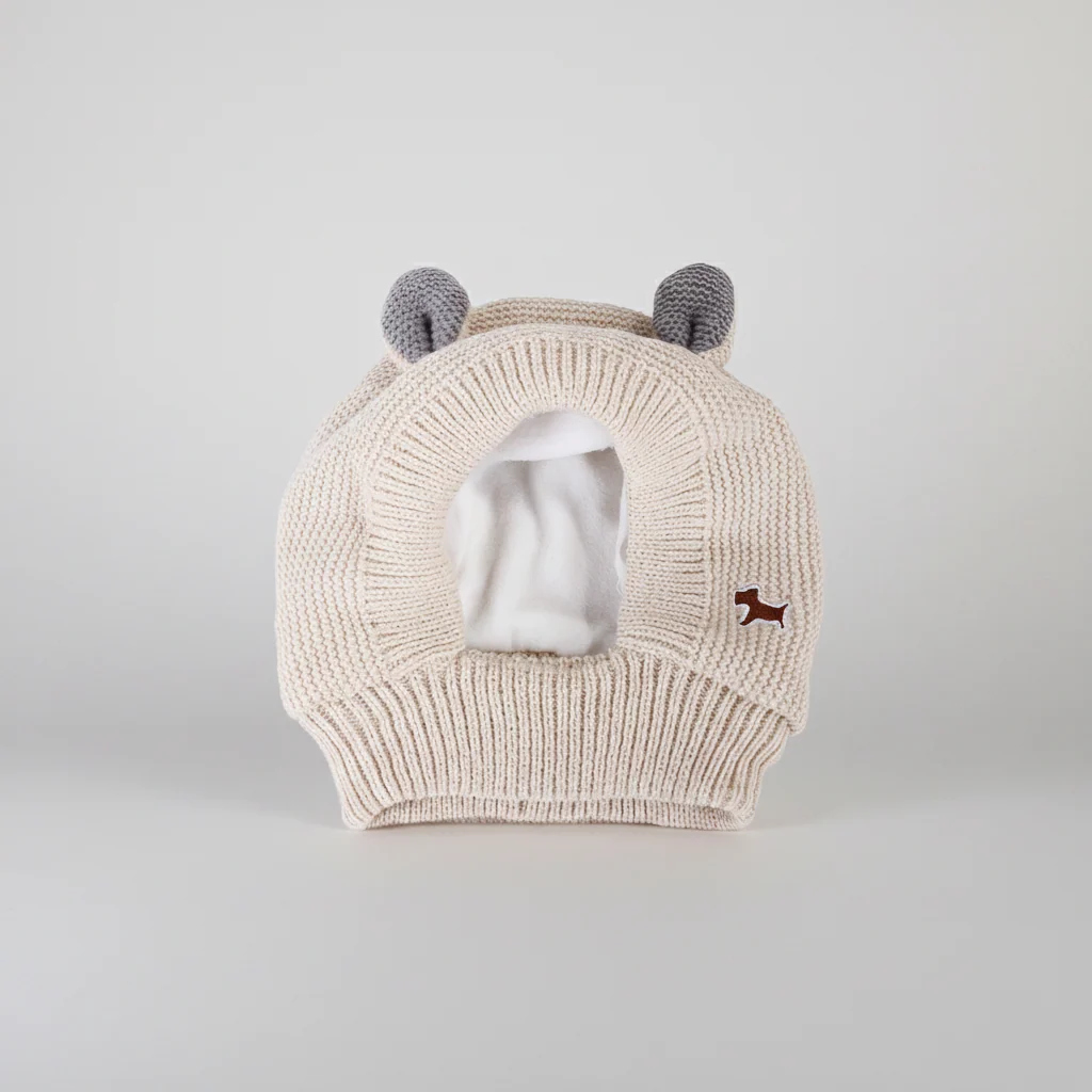 Rabbit Ear Dog Hat