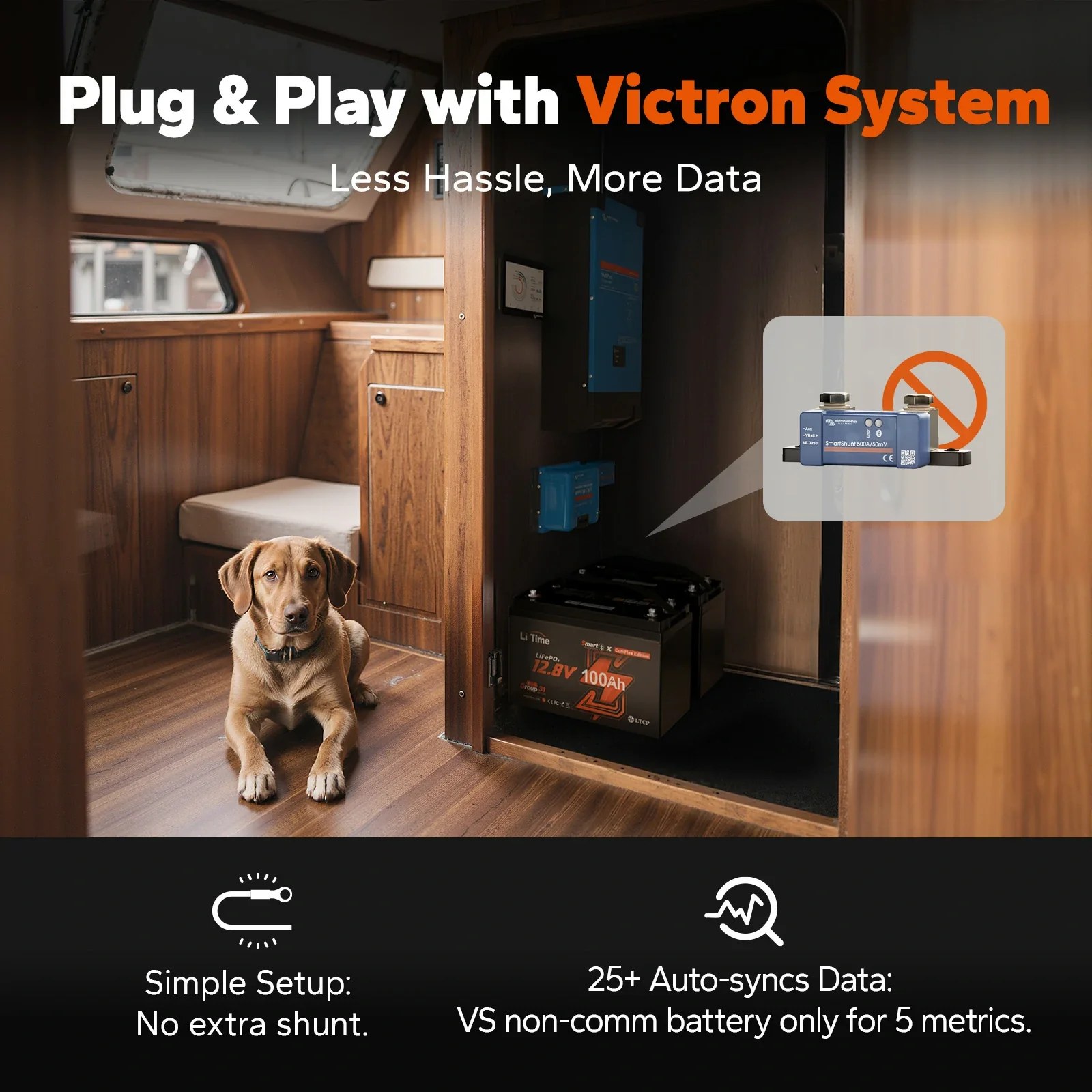 LiTime 12V 100Ah Smart ComFlex Battery with Bluetooth & Victron Communication