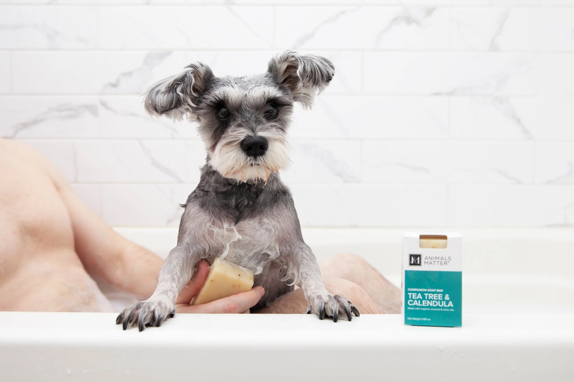 Animals Matter® Organic Companion Dog Soap Bar™