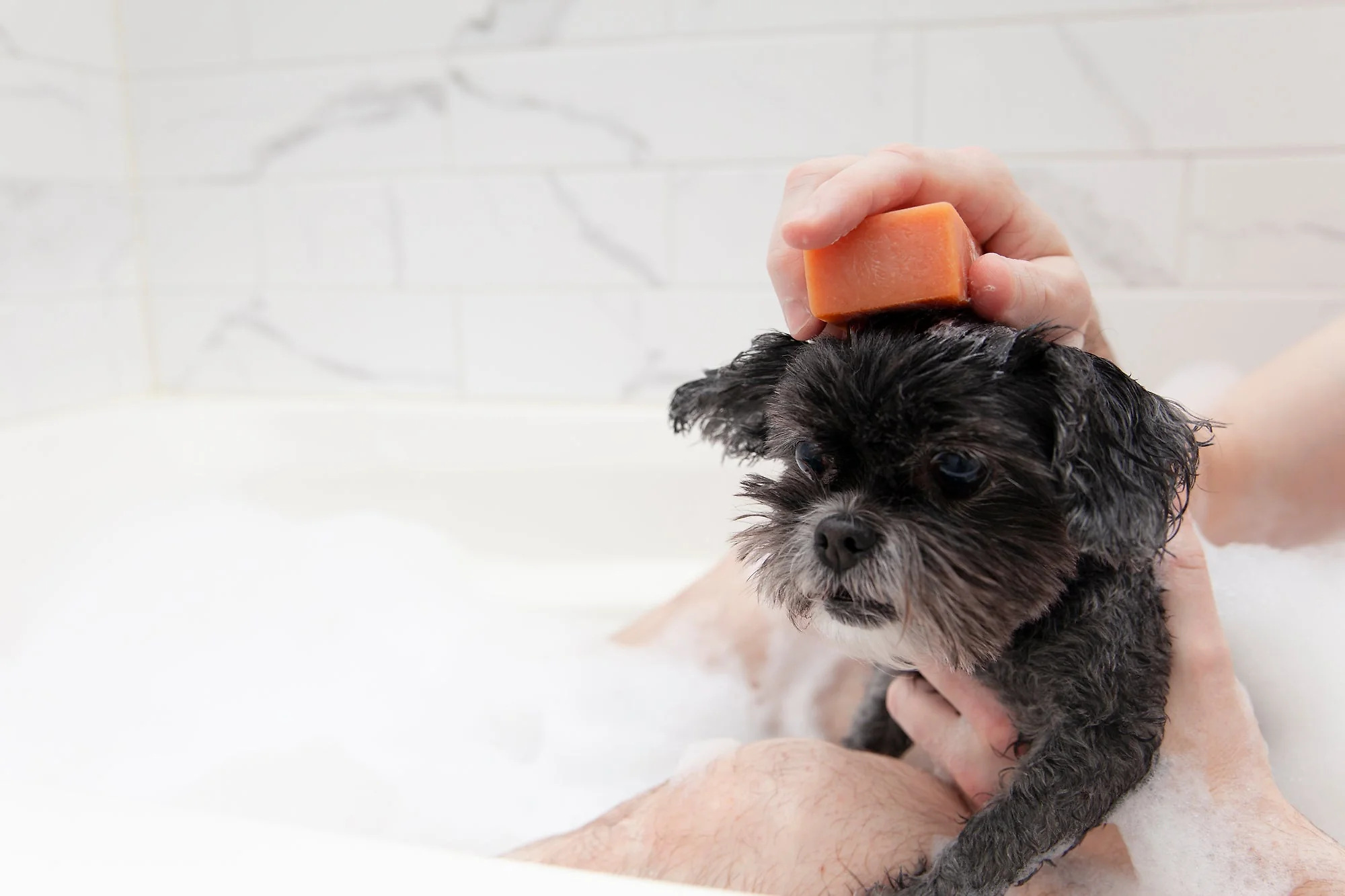 Animals Matter® Organic Companion Dog Soap Bar™