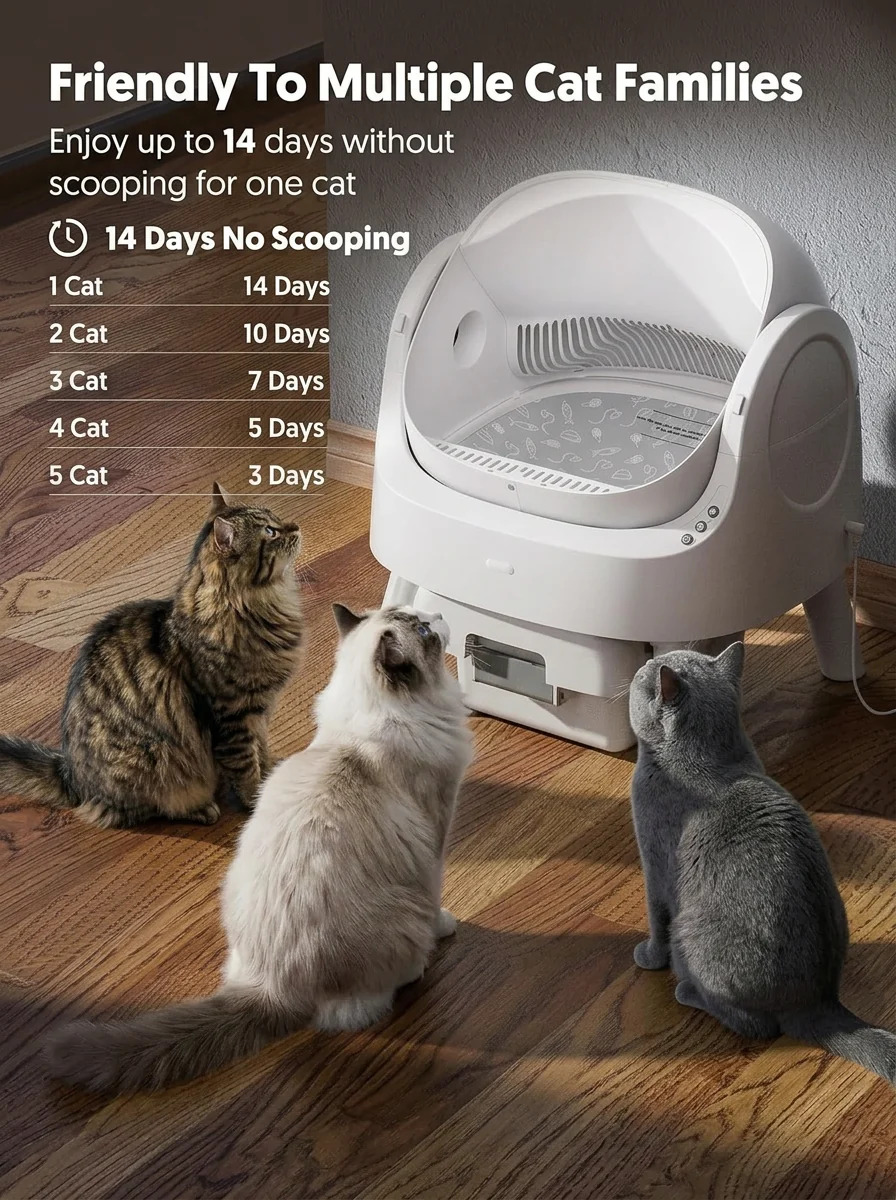 Jason|AutoScooper 11 Cat Litter Box